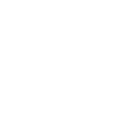 NordPass logo
